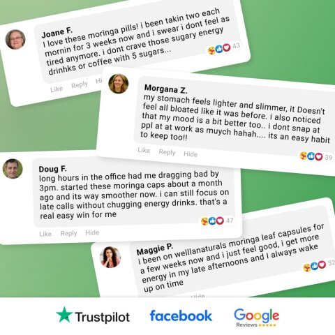 WellaNaturals Moringa Powder image